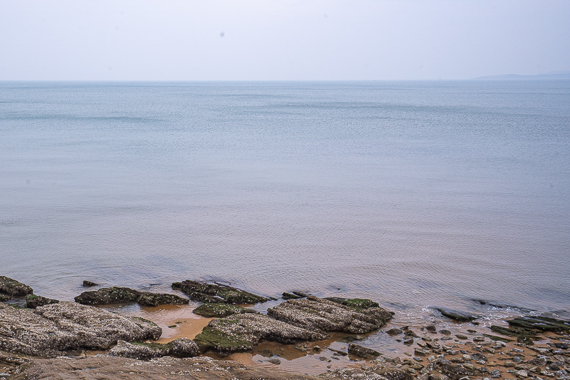 去青島旅游統(tǒng)計？去青島旅游的計劃